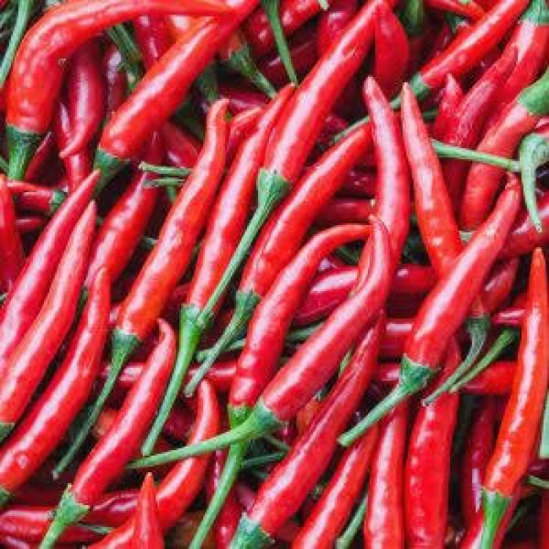 African Bird Eye Pepper from Kenya